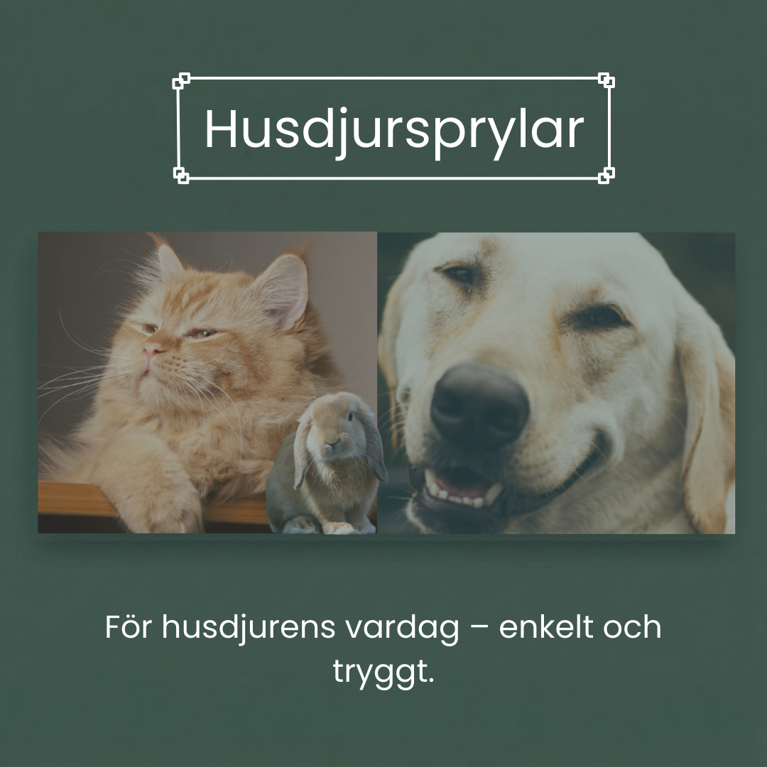 Husdjurs Prylar